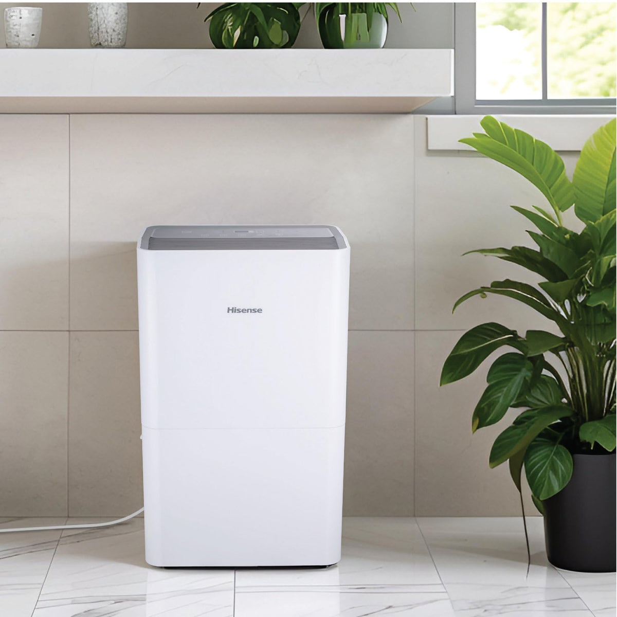 50-Pint Portable Dehumidifier G645576