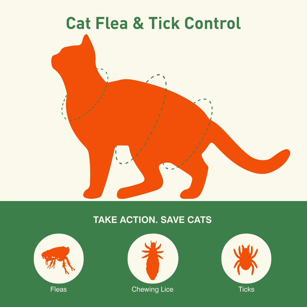6 Pack Flea and Tick Prevention for Cats F33109