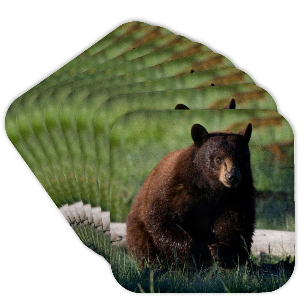 Set of 8 Cork Coasters M781022