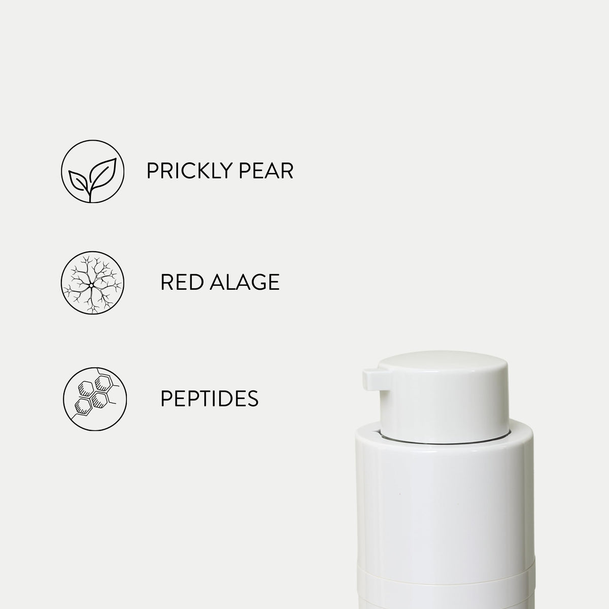 Anti-Aging Face Cream with Peptides J89663