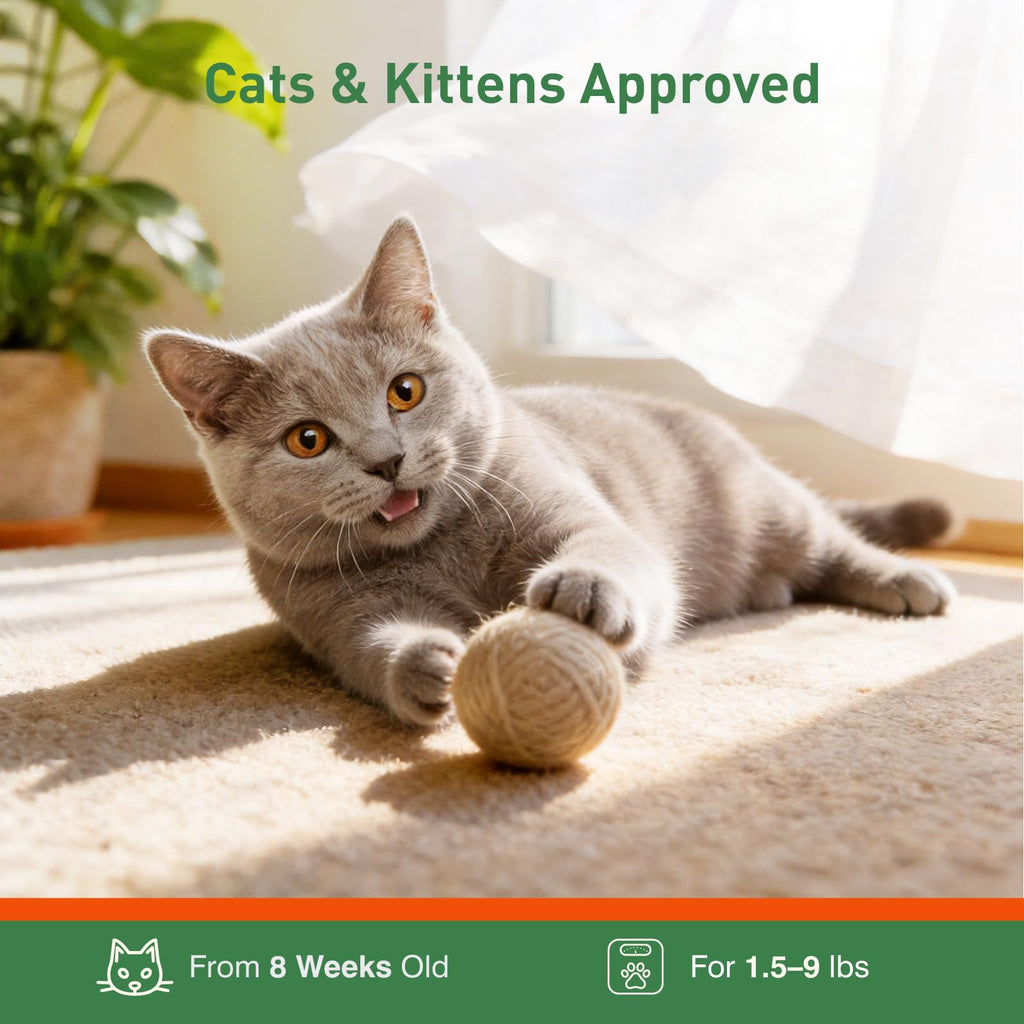 6 Pack Flea and Tick Prevention for Cats F33109