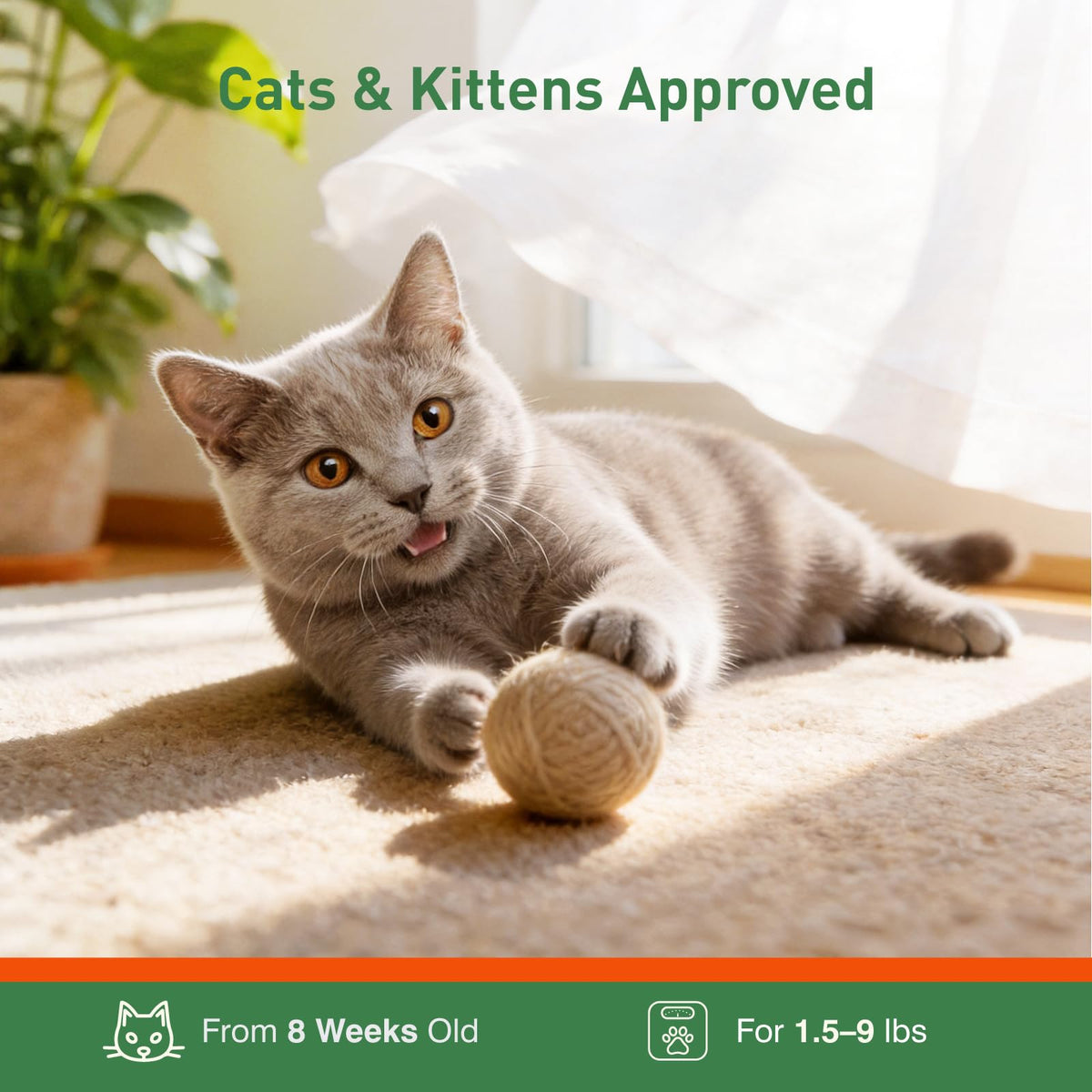 6 Pack Flea and Tick Prevention for Cats F33109