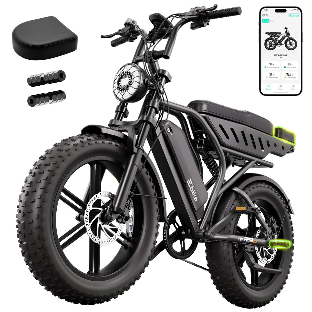 Electric Bike 48V 15Ah Battery 1500W Peak Motor 20 * 4.0 Fat Tire U31144