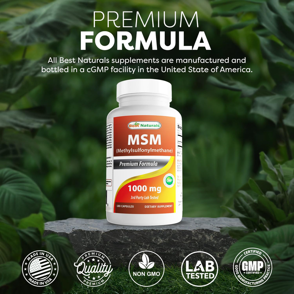 MSM 1000 mg 180 Capsules L529