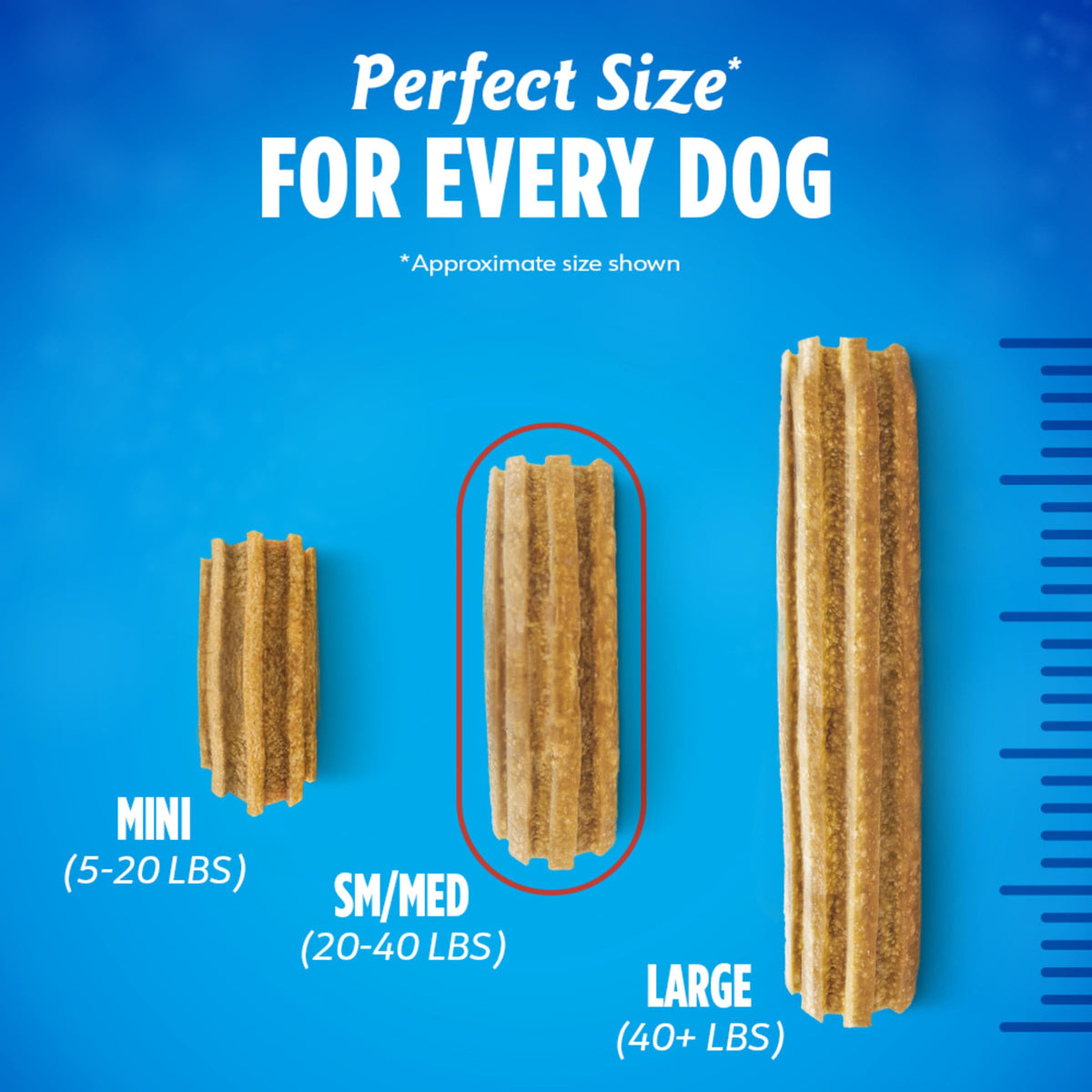 Daily Oral Care Dog Treats 40 ct W405908