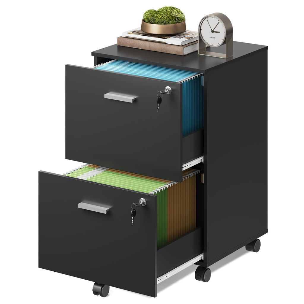 2 Drawer Wood File Cabinet with Lock, Black O894