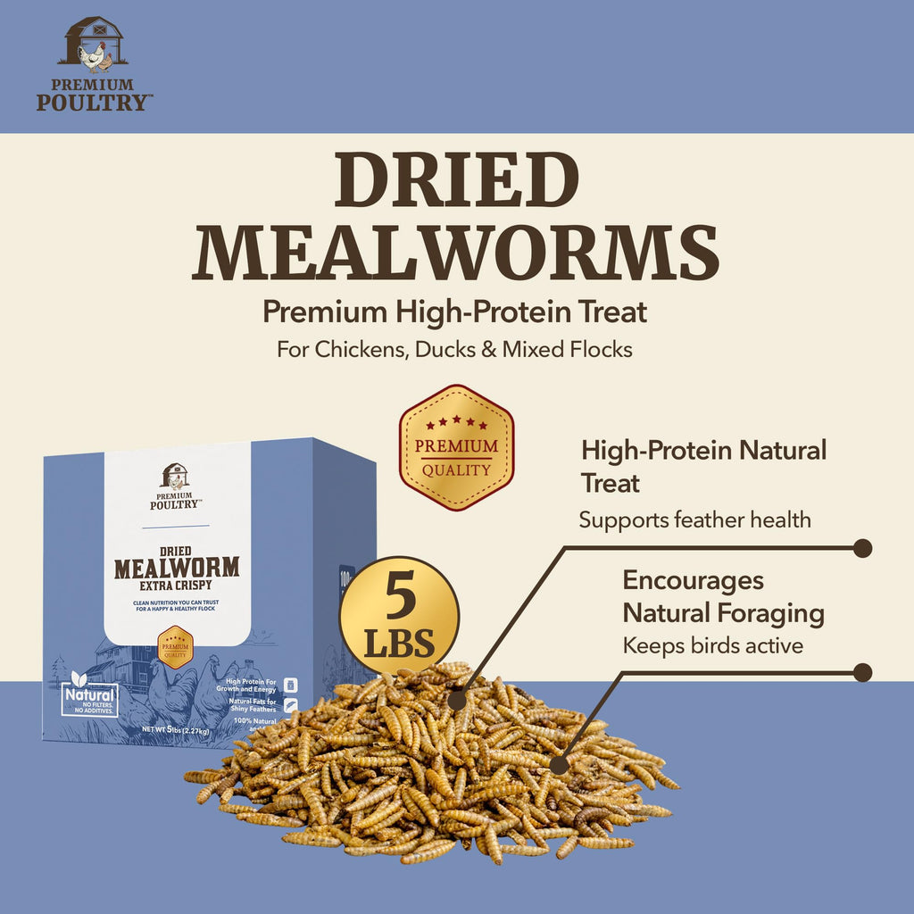 Mealworms for Chickens & Wild Birds, 5lb, 4-Pack L408407