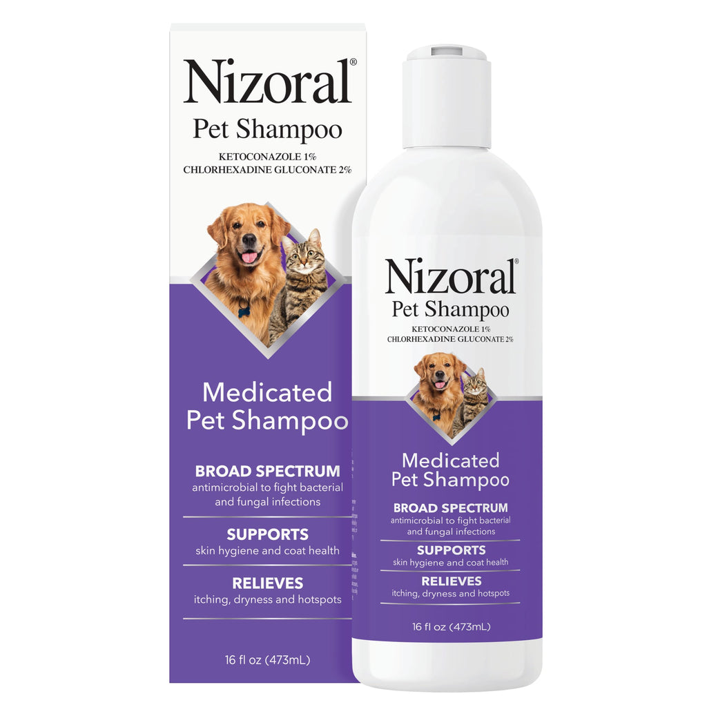 16 Oz Chlorhexidine Pet Shampoo S81807