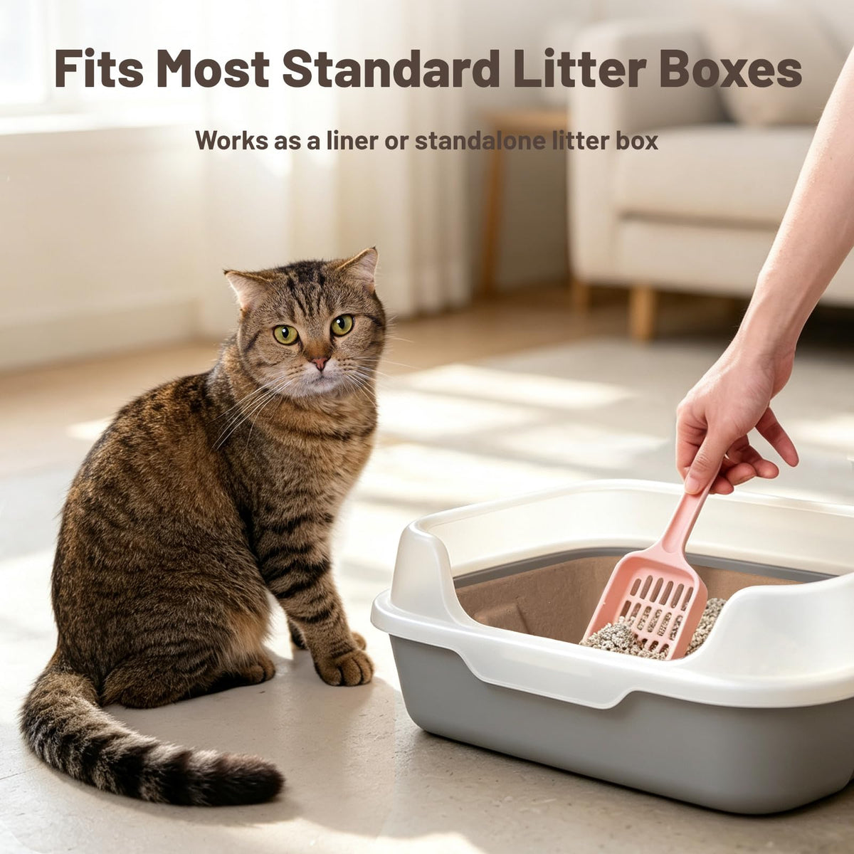 4 Pack Disposable Cardboard Cat Litter Boxes V79136