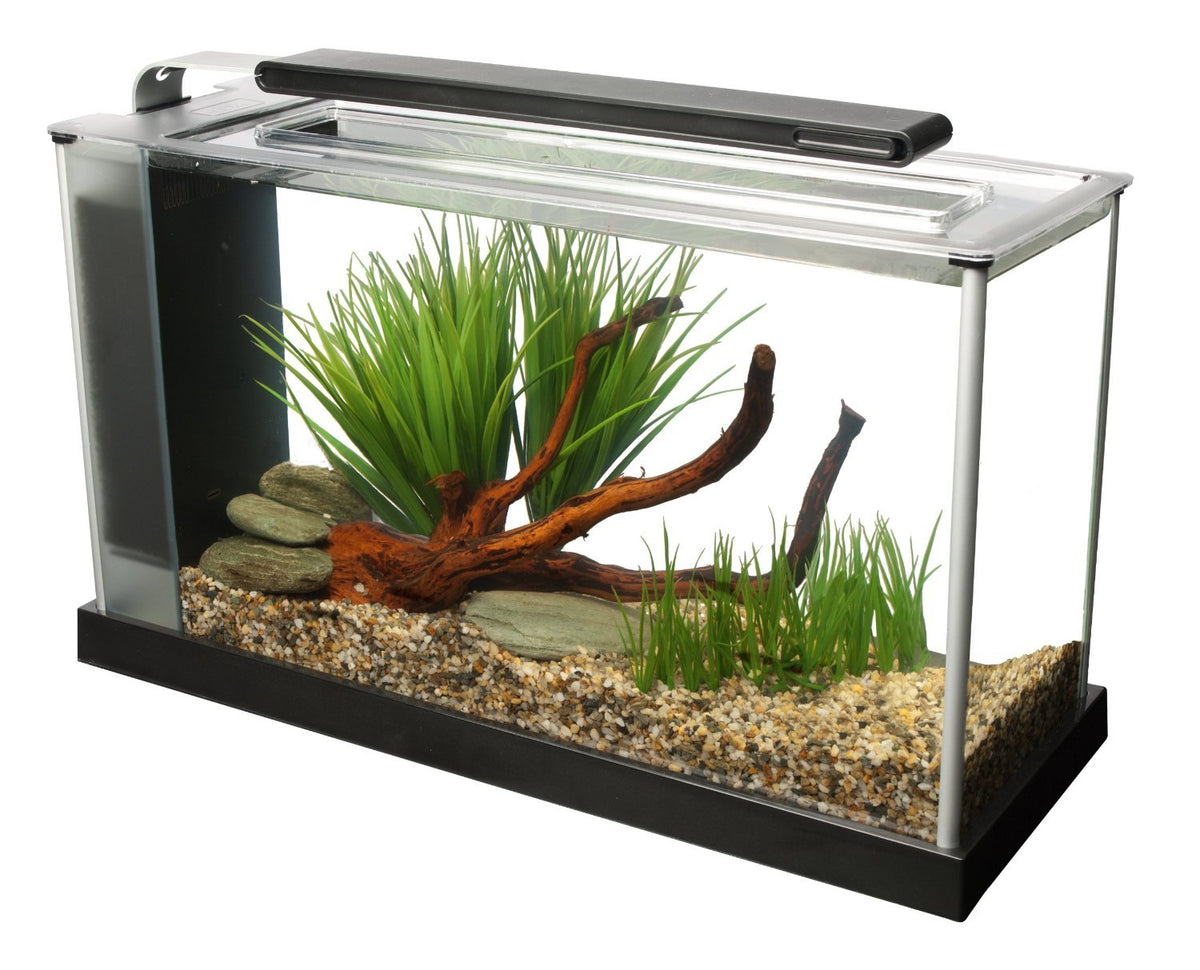 5-Gallon Aquarium Kit M768153