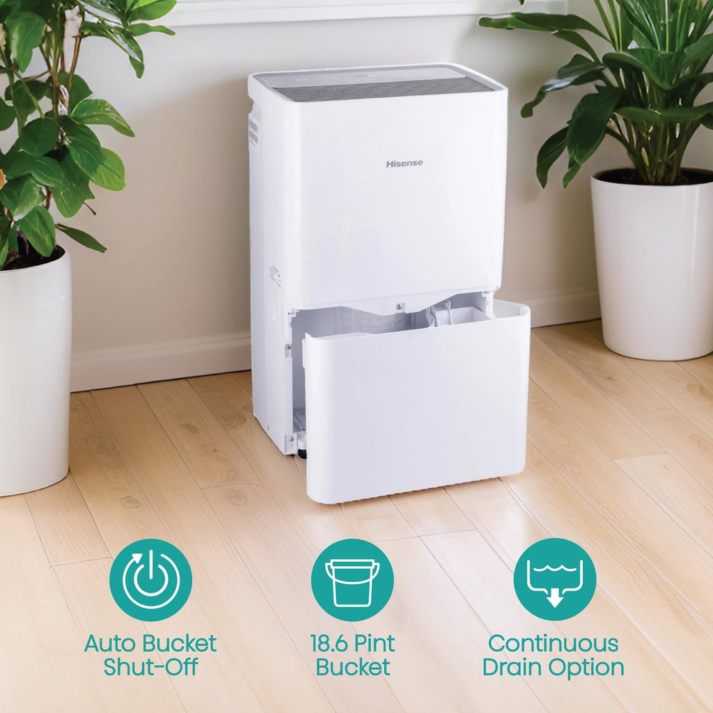 50-Pint Portable Dehumidifier G645576
