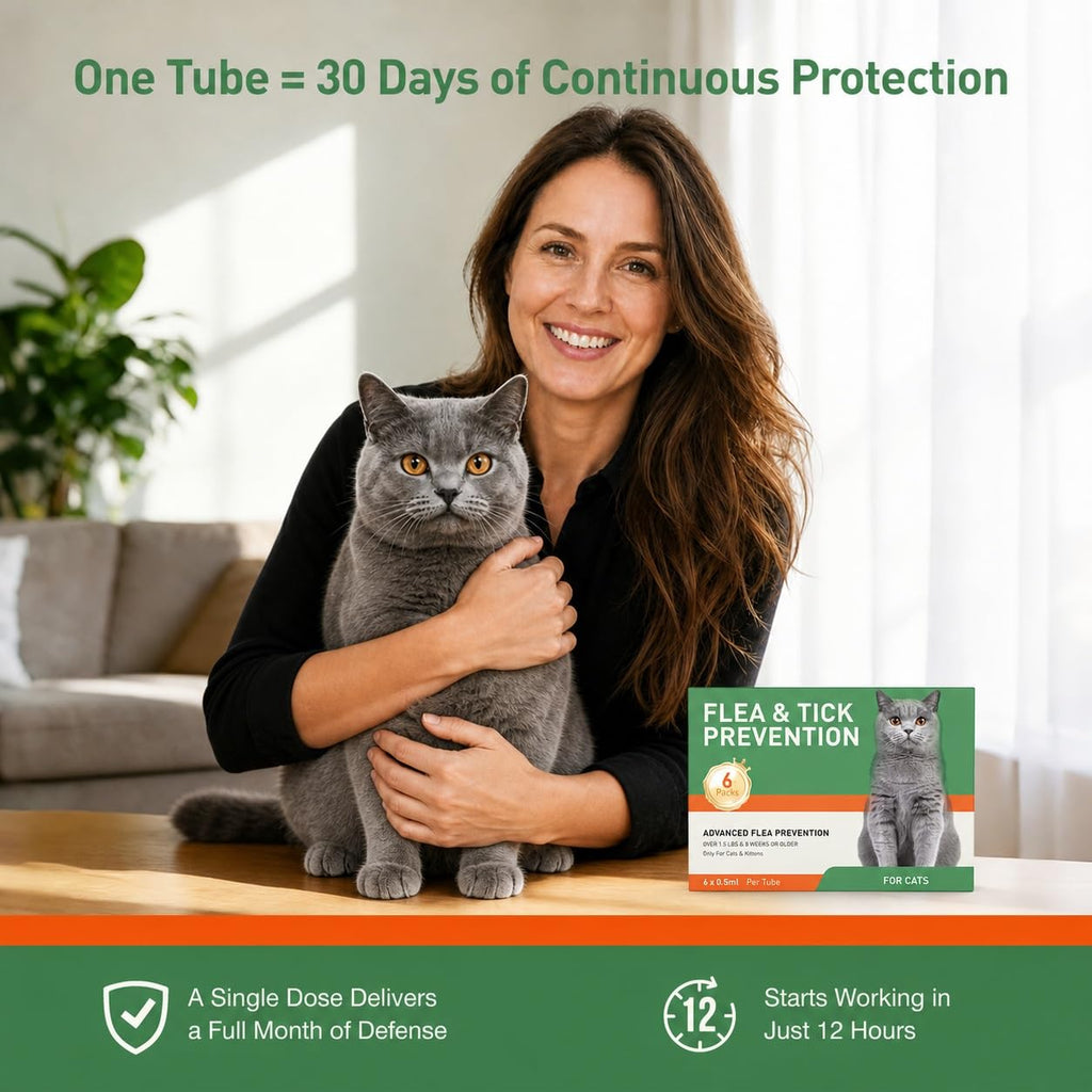 6 Pack Flea and Tick Prevention for Cats F33109