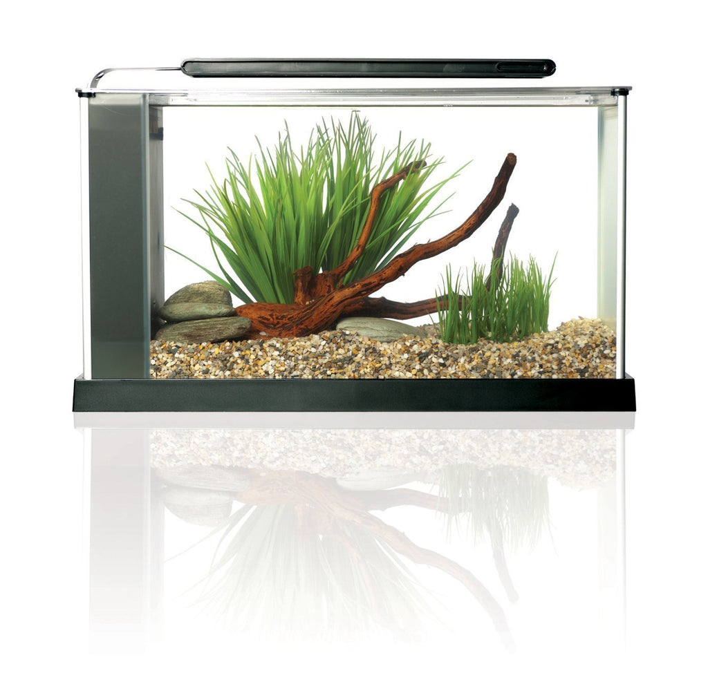 5-Gallon Aquarium Kit M768153