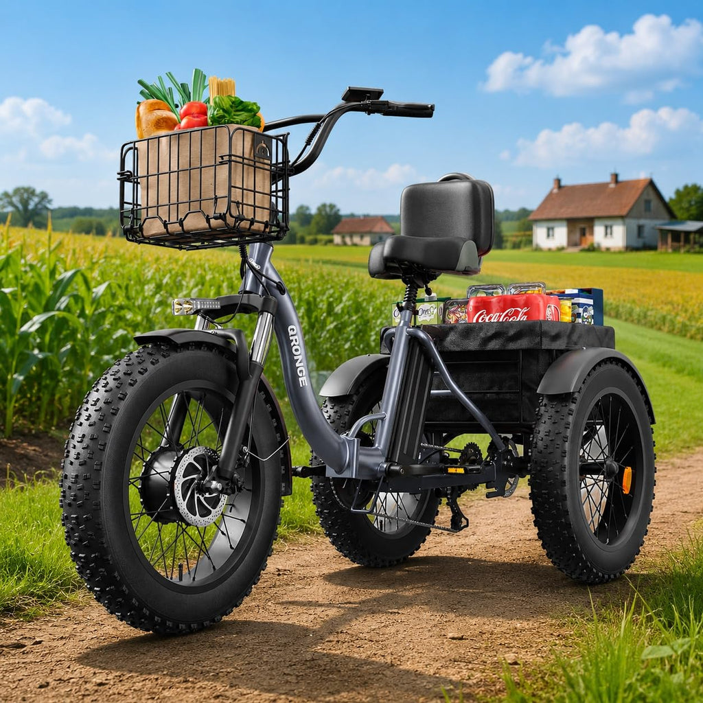 Electric Tricycle for Adults 1200W 36V 20AH Fat Tire Folding H620