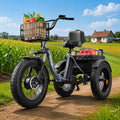 Electric Tricycle for Adults 1200W 36V 20AH Fat Tire Folding H620