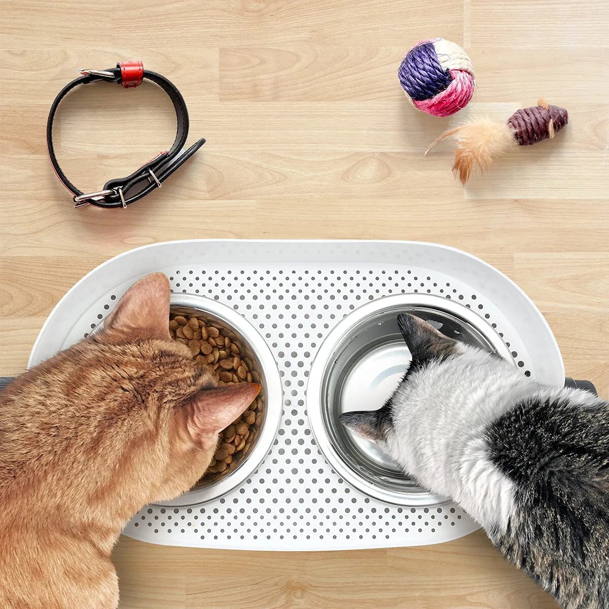 Height Adjustable Stainless Steel Cat Dog Bowls T32066