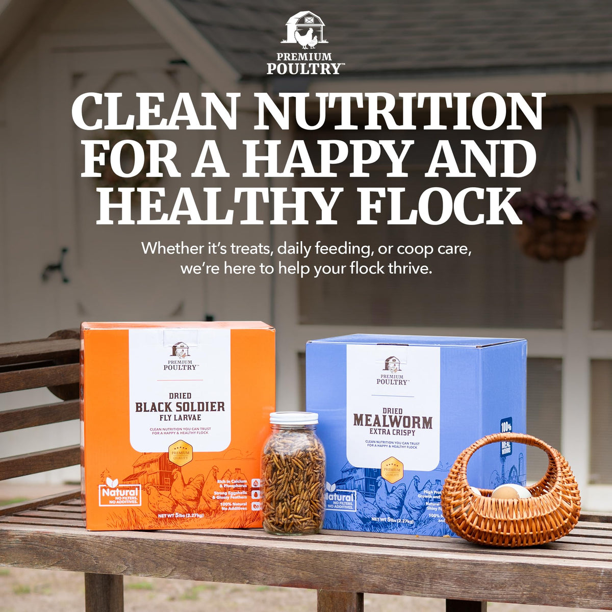 Mealworms for Chickens & Wild Birds, 5lb, 4-Pack L408407