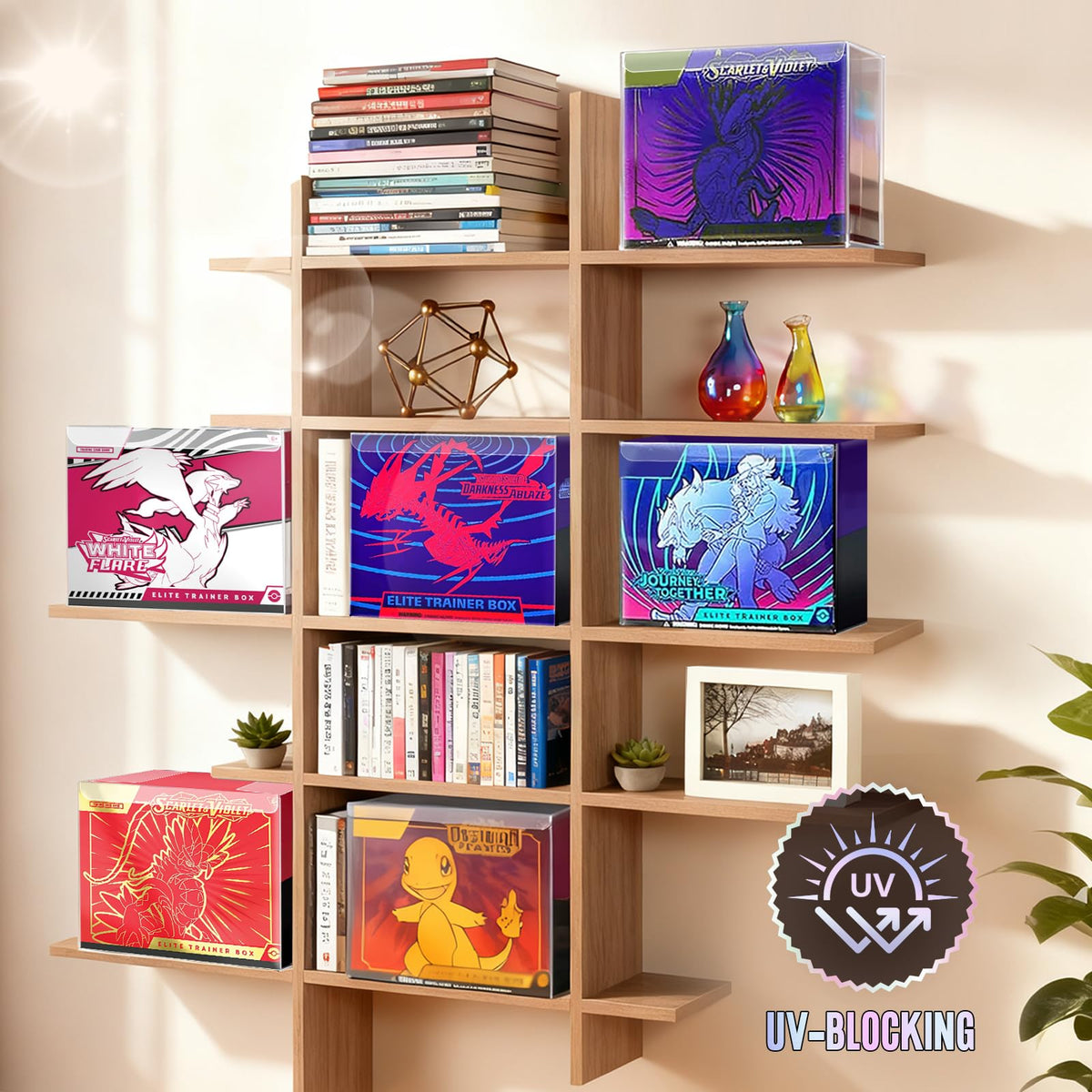 UV-Blocking Plastic Display Case I3343