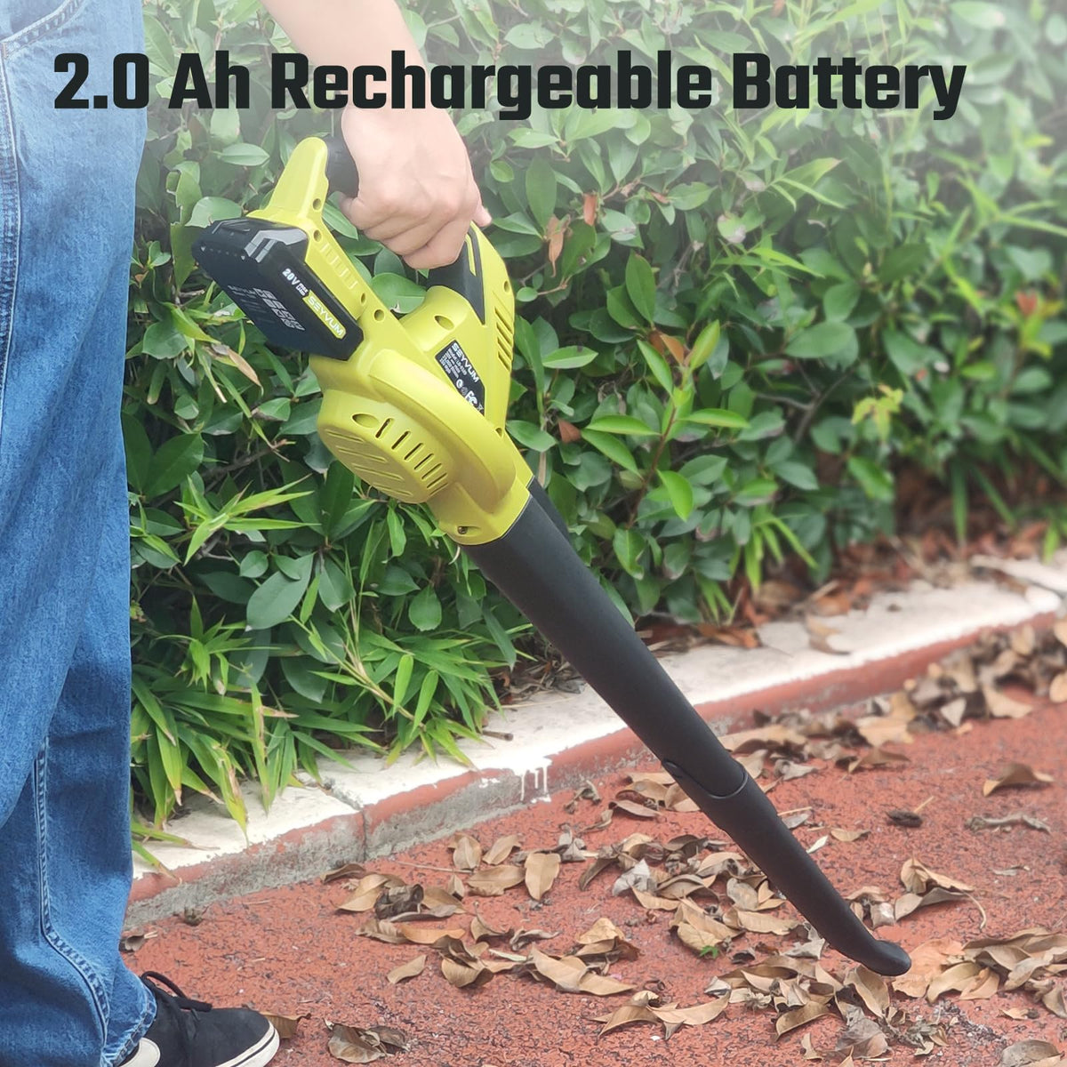 20V MAX 2.0 Ah Lithium-Ion Battery X590853