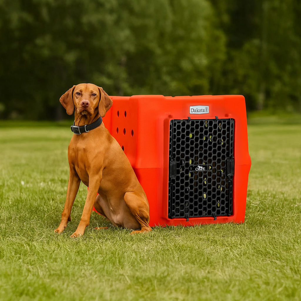 Orange Large Dog Crate D2215