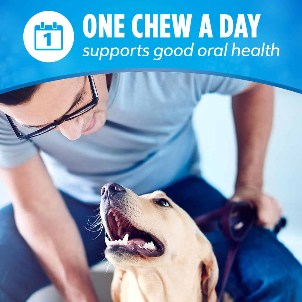 Daily Oral Care Dog Treats 40 ct W405908
