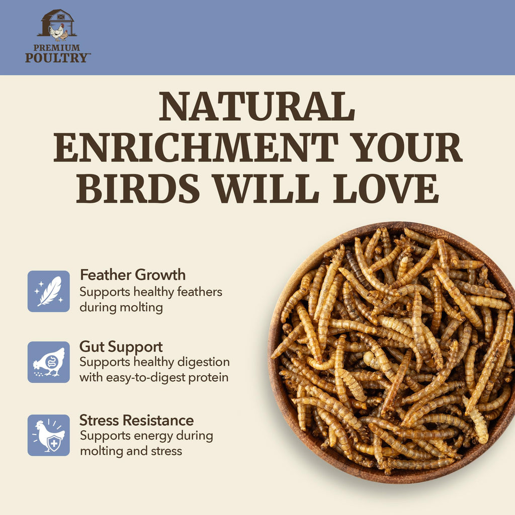 Mealworms for Chickens & Wild Birds, 5lb, 4-Pack L408407