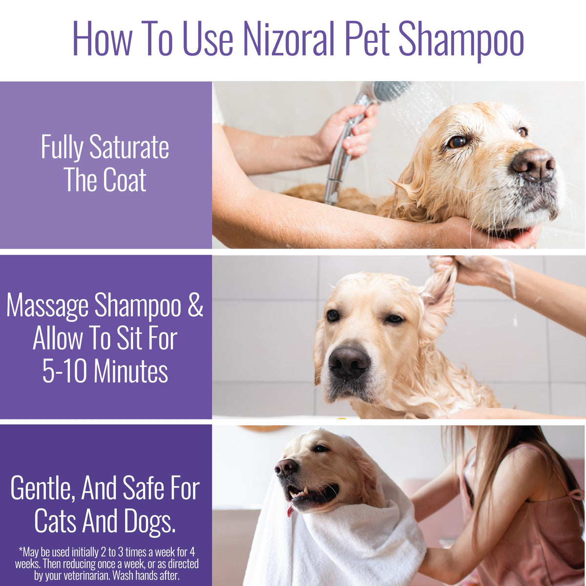 16 Oz Chlorhexidine Pet Shampoo S81807