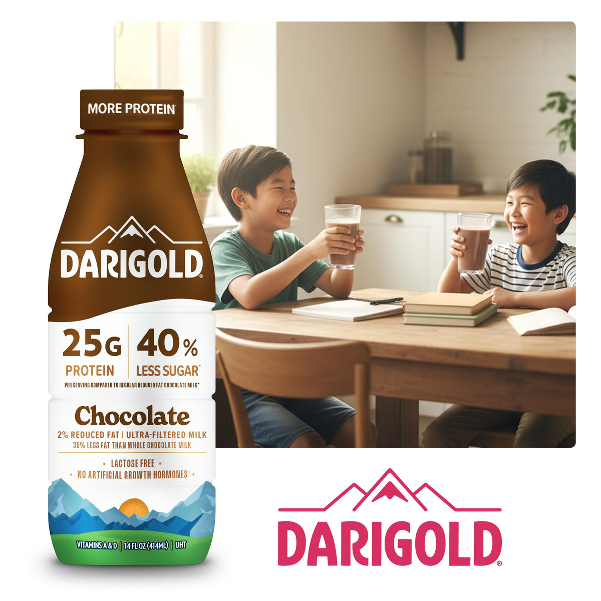 High Protein Chocolate Milk 14oz 12ct X407649