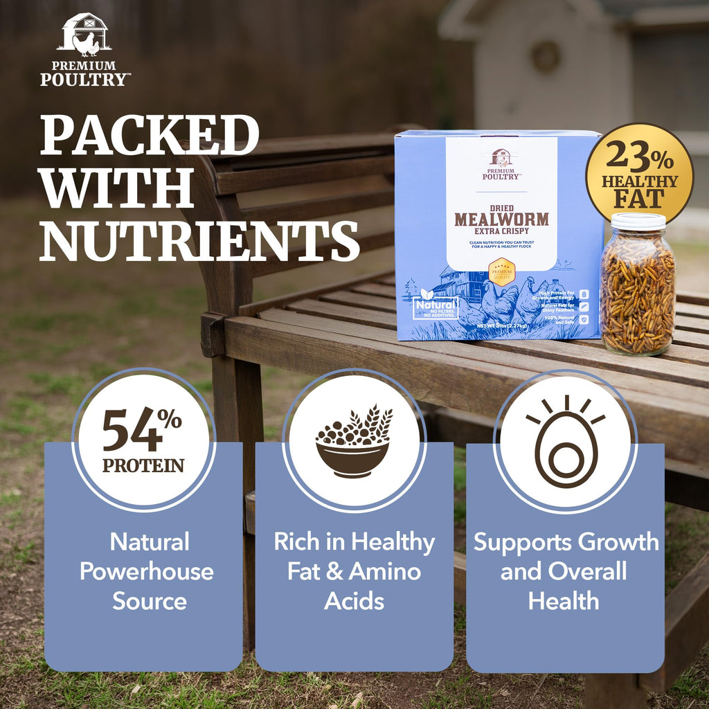 Mealworms for Chickens & Wild Birds, 5lb, 4-Pack L408407