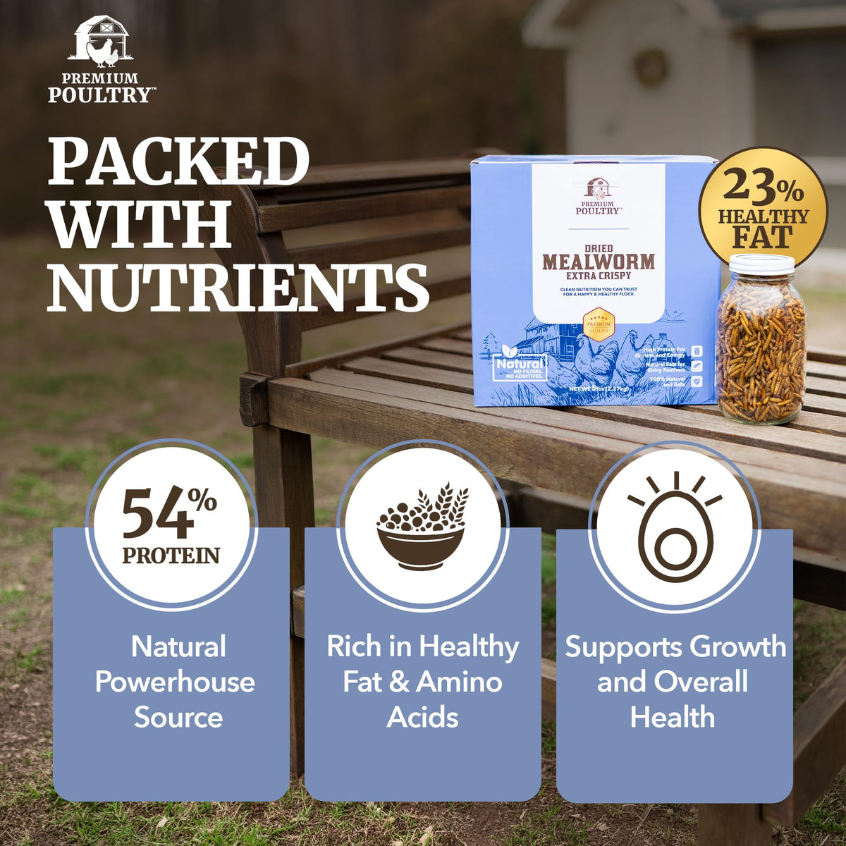 Mealworms for Chickens & Wild Birds, 5lb, 4-Pack L408407