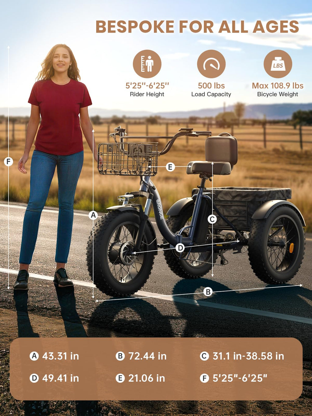 Electric Tricycle for Adults 1200W 36V 20AH Fat Tire Folding H620