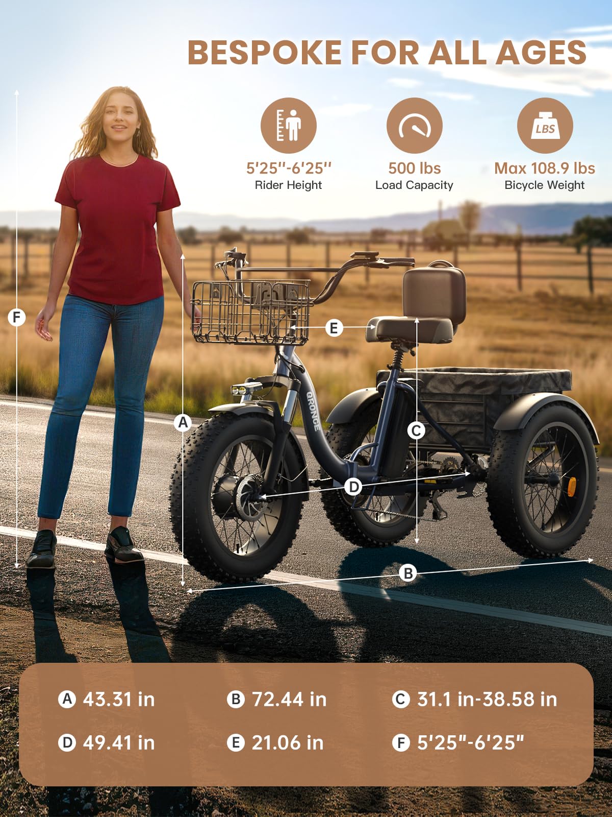 Electric Tricycle for Adults 1200W 36V 20AH Fat Tire Folding H620