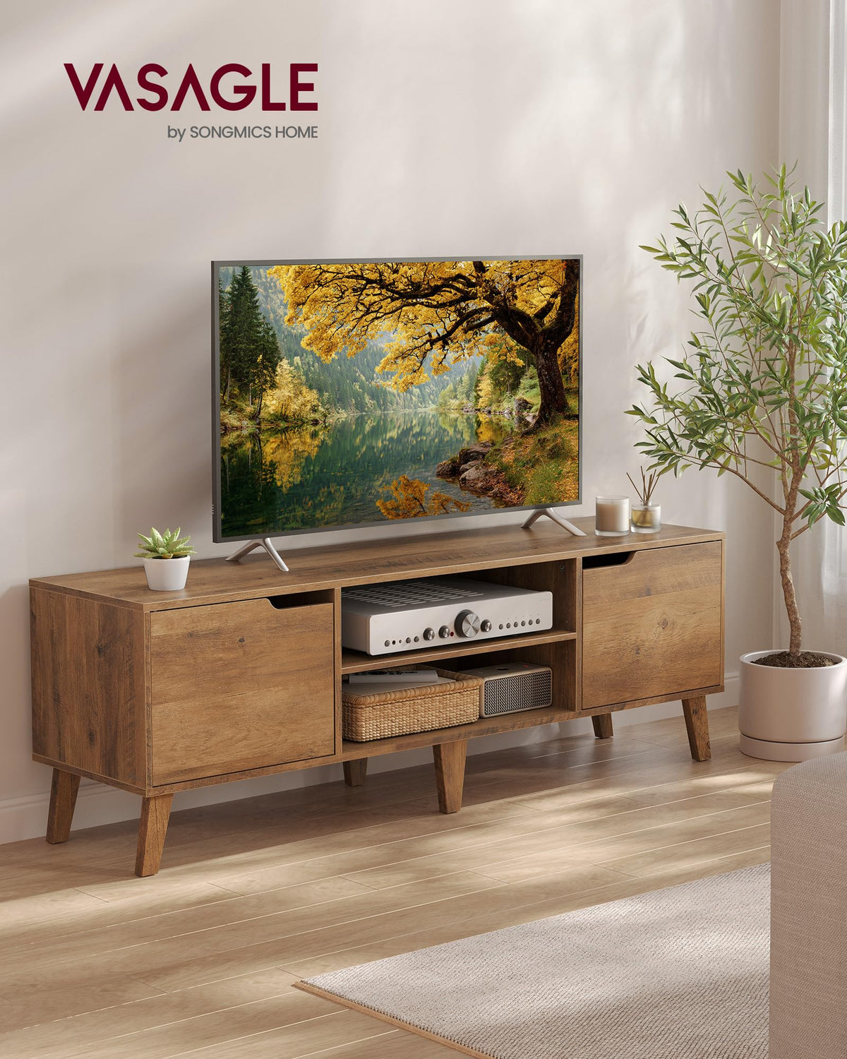 TV Stand with Adjustable Shelf D2015