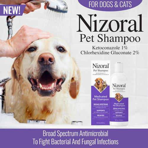 16 Oz Chlorhexidine Pet Shampoo S81807
