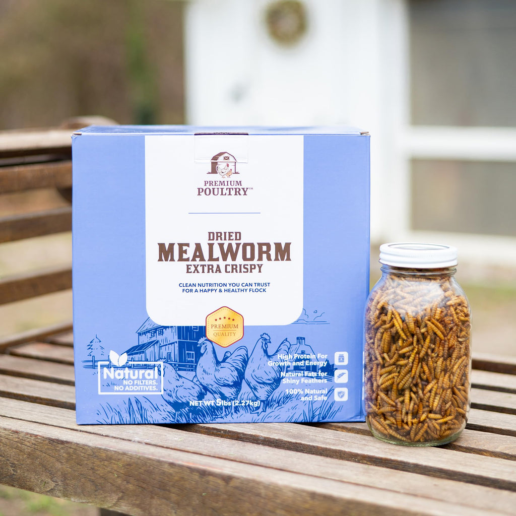 Mealworms for Chickens & Wild Birds, 5lb, 4-Pack L408407