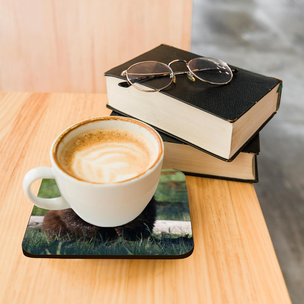 Set of 8 Cork Coasters M781022
