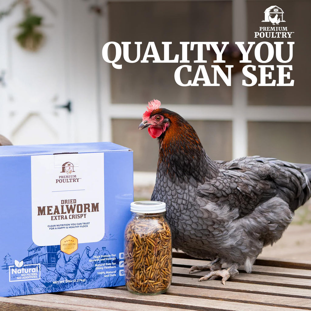 Mealworms for Chickens & Wild Birds, 5lb, 4-Pack L408407