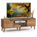 TV Stand with Adjustable Shelf D2015