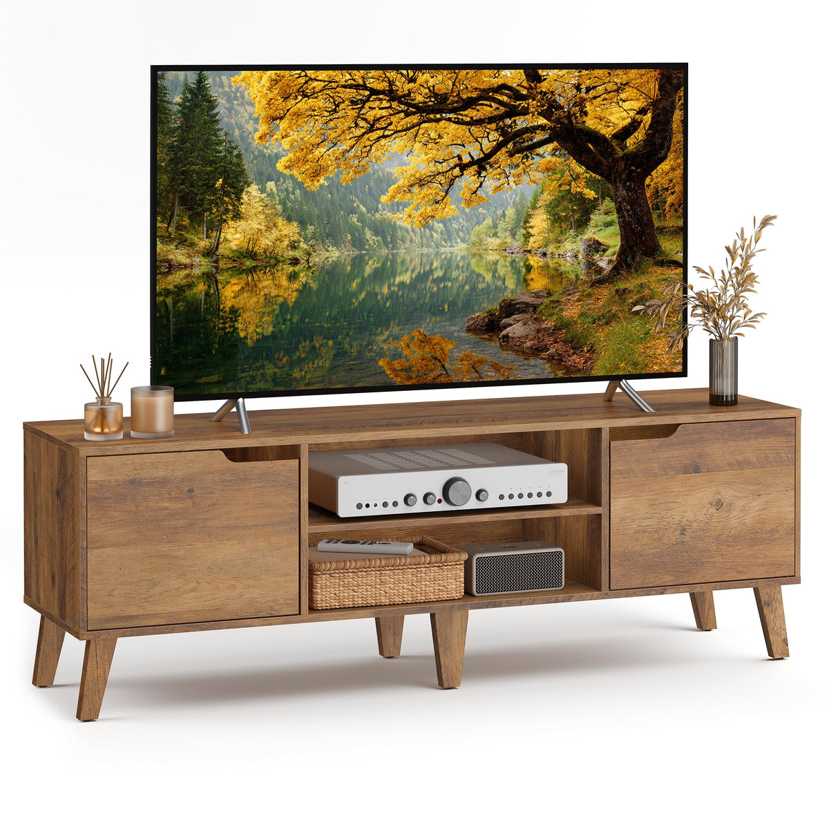 TV Stand with Adjustable Shelf D2015