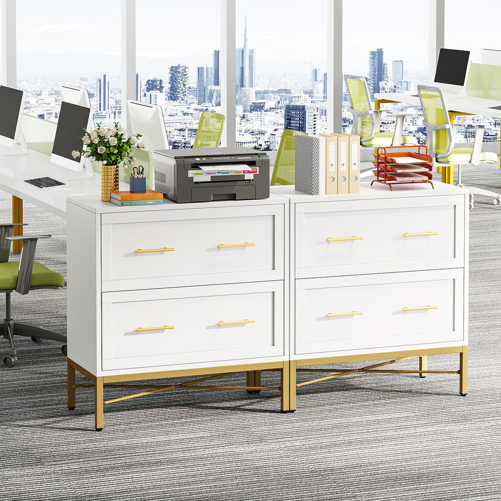 White 2 Drawer Wood File Cabinet D9582