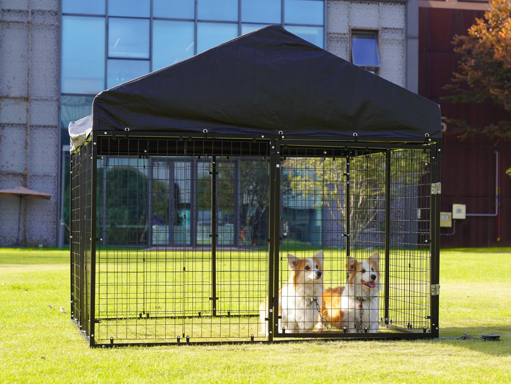 Large Outdoor Dog Enclosure with Roof E490