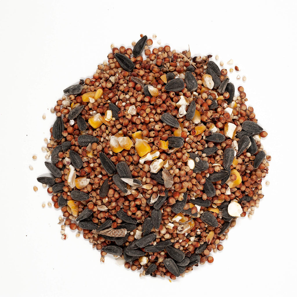 Bird Food Bundles 20 lbs Each V165016